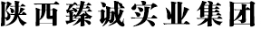 陜西省建筑行業典范企業 陜西省建筑行業典范企業